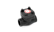 JC VALVES carbon steel piston check valve VRI800 800 lbs NPT 1/2''