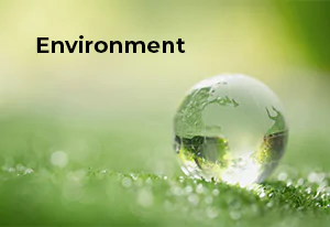 image avec une globe en verre dans l'herbe, bloc avec titre Environnement pour aller &agrave; la page traitant les sujets environnementaux chez Syveco