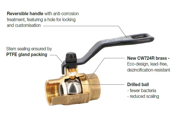 a visual of the cutaway Serena valve showing the inside of the valve