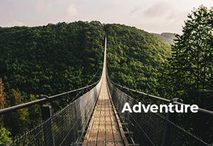 a suspended bridge, referring to adventure