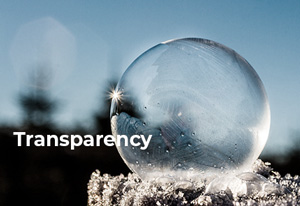 a transparent ball in a winter setting, referring to transparency