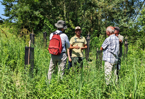 plantation site in Janneyrias with a few Syveco colleagues and the National Forestry Office representatives