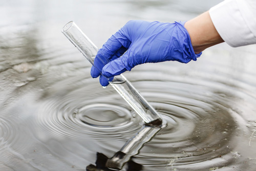 Someone taking a water sample from a river or lake.